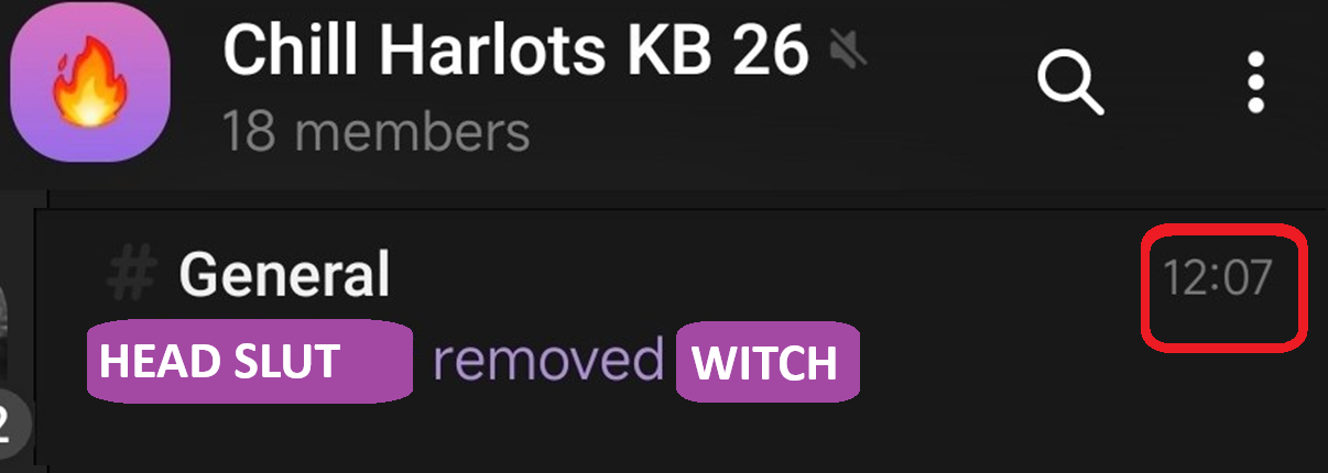Screenshot of the 'Chill Harlots KB 26' group chat showing 'HEAD SLUT removed WITCH', timestamped 12:07.